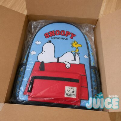 Snoopy & Woodstock Doghouse Backpack Back To School Gift