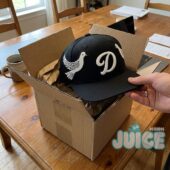 Letter D Flying Doves Baseball Cap