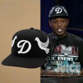 Letter D Flying Doves Baseball Cap